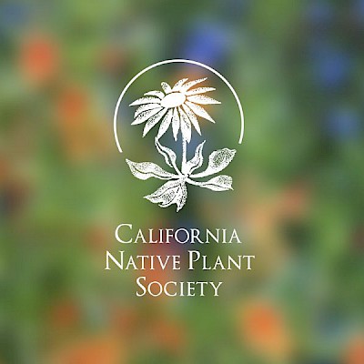 California Native Plant Society - Local Organizations & Partners - MCBG ...