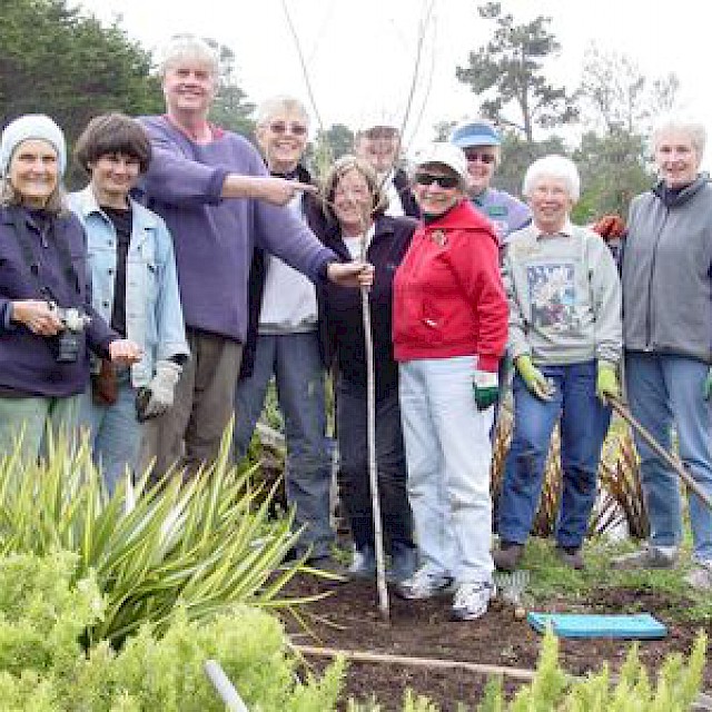 Perennial Garden Volunteers (2008) gallery image