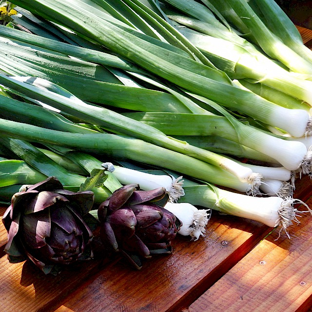 Leeks cleaned and ready to donate to the local food bank gallery image