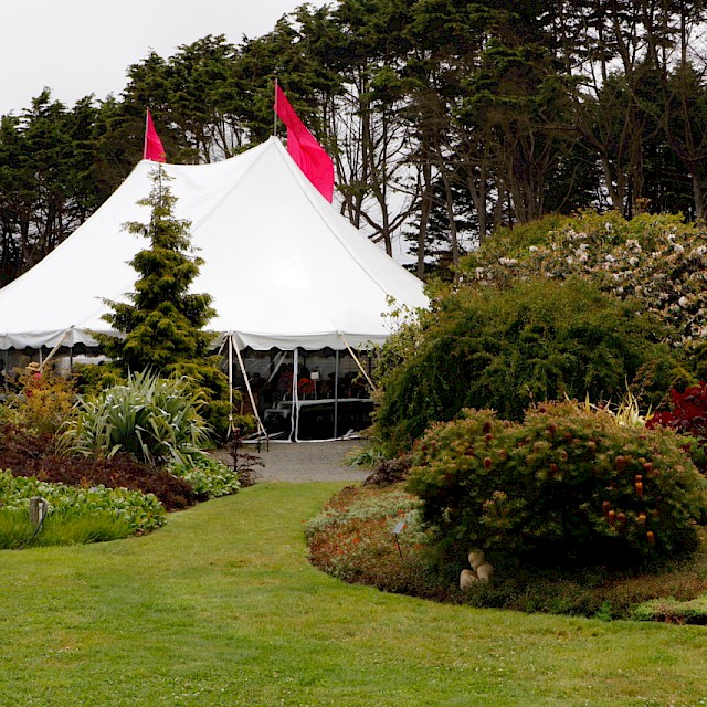 The elegant tent featured a cascade of vibrant rhododendrons, raffles, a silent auction, people