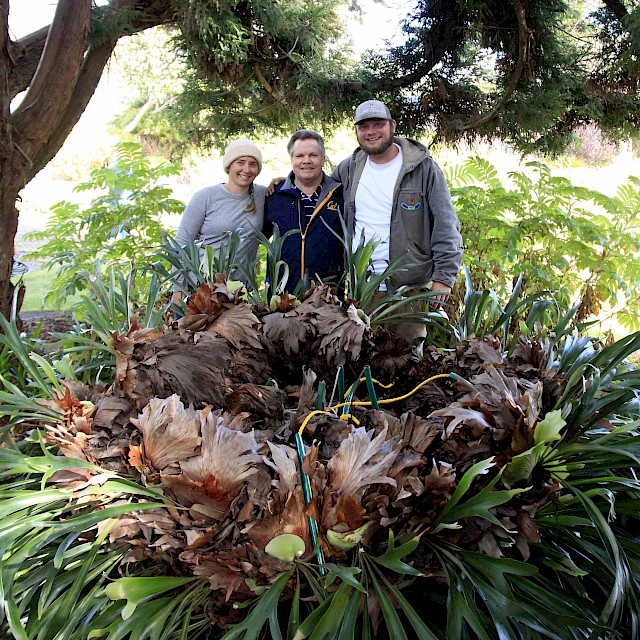 MCBG Gardeners Jaime and Pete with fern donor John Ziesenhenne (center) gallery image